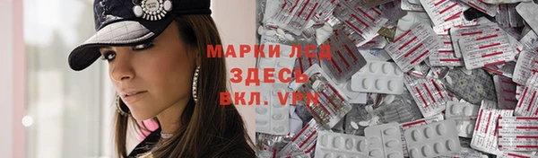 a pvp Алзамай