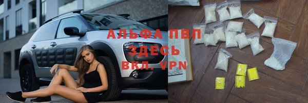 гашик Алексеевка