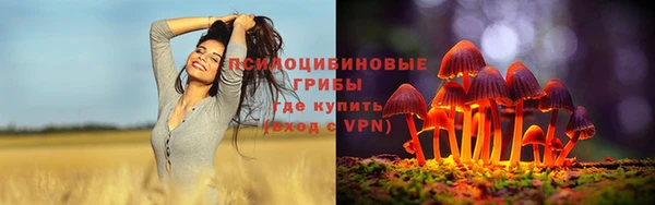a pvp Алзамай