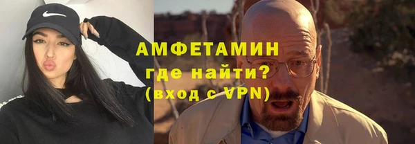 мет Алексин