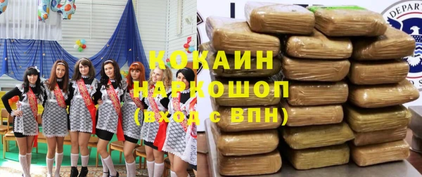 гашик Алексеевка
