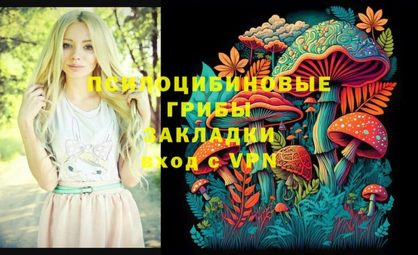 гашик Алексеевка