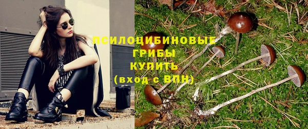 мет Алексин