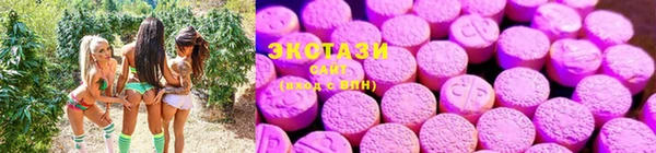 a pvp Алзамай