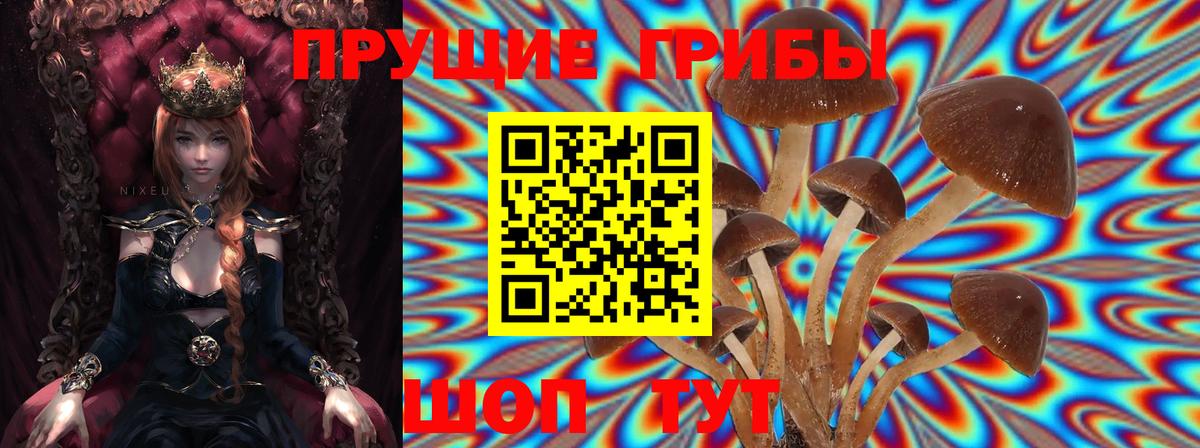 Псилоцибиновые грибы Magic Shrooms Когалым